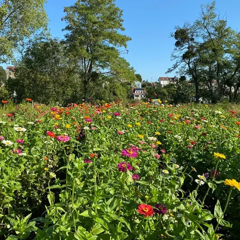 Fleurs d'Halage, fleuriste événementiel
